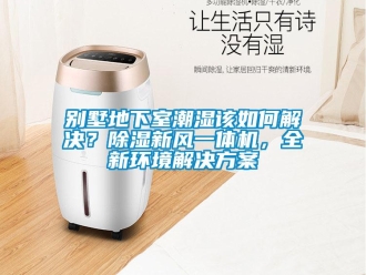 常見問題別墅地下室潮濕該如何解決？除濕新風(fēng)一體機(jī)，全新環(huán)境解決方案