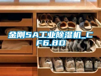 常見問題金剛5A工業除濕機_CF6.8D