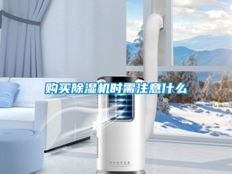 行業新聞購買除濕機時需注意什么
