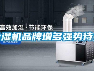 常見問題除濕機品牌增多強勢待發