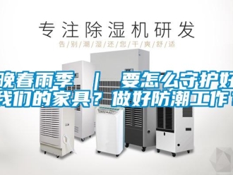 常見問題晚春雨季 ｜ 要怎么守護好我們的家具？做好防潮工作？