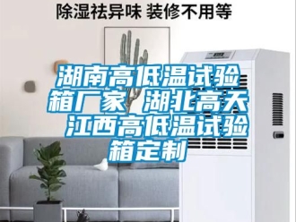 常見問題湖南高低溫試驗箱廠家 湖北高天 江西高低溫試驗箱定制