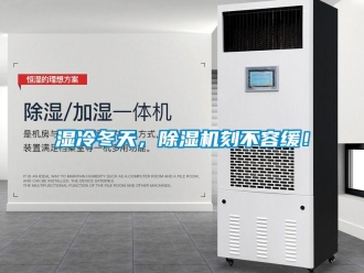 知識百科濕冷冬天，除濕機刻不容緩！