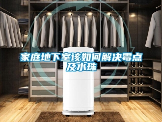 常見問題家庭地下室該如何解決霉點及水珠