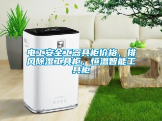 知識百科電工安全工器具柜價格，排風除濕工具柜，恒溫智能工具柜
