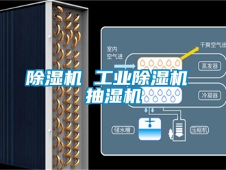 常見(jiàn)問(wèn)題除濕機(jī) 工業(yè)除濕機(jī) 抽濕機(jī)