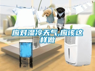 知識百科應對濕冷天氣,應該這樣做