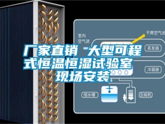 知識百科廠家直銷 大型可程式恒溫恒濕試驗室 現場安裝