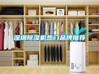 企業(yè)新聞深圳除濕機(jī)熱門品牌推薦