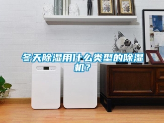 企業新聞冬天除濕用什么類型的除濕機？