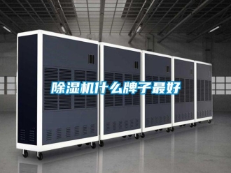 企業新聞除濕機什么牌子最好