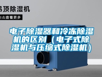 行業新聞電子除濕器和冷凍除濕機的區別（電子式除濕機與壓縮式除濕機）