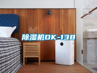 企業新聞除濕機DK-138