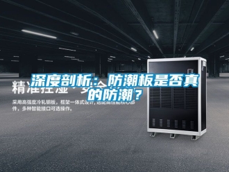 常見問題深度剖析：防潮板是否真的防潮？