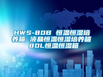 常見問題HWS-80B 恒溫恒濕培養箱 液晶恒溫恒濕培養箱 80L恒溫恒濕箱