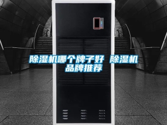 企業新聞除濕機哪個牌子好 除濕機品牌推薦