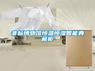 知識百科非標博物館恒溫恒濕智能典藏柜