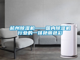 行業新聞杭州除濕機——國內除濕機行業的一抹艷麗色彩