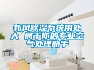 知識(shí)百科新風(fēng)除濕系統(tǒng)用處大 屬于你的專業(yè)空氣處理助手