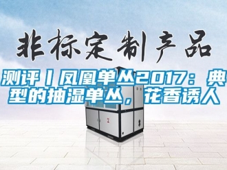 企業新聞測評丨鳳凰單叢2017：典型的抽濕單叢，花香誘人
