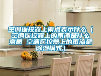 行業(yè)新聞空調(diào)遙控器上雨點表示什么（空調(diào)遙控器上的雨滴是什么意思 空調(diào)遙控器上的雨滴是除濕模式）