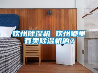 行業新聞欽州除濕機 欽州哪里有賣除濕機的？
