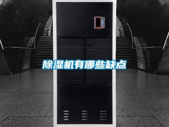企業新聞除濕機有哪些缺點