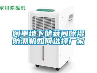企業(yè)新聞阿里地下儲(chǔ)藏間除濕防潮機(jī)如何選擇廠家