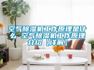 行業新聞空氣除濕機工作原理是什么 空氣除濕機工作原理介紹【詳解】
