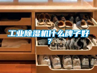 常見問題工業除濕機什么牌子好？