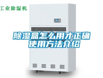企業新聞除濕盒怎么用才正確 使用方法介紹