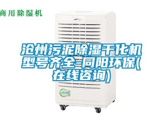 企業(yè)新聞滄州污泥除濕干化機型號齊全-同陽環(huán)保(在線咨詢)