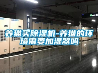 行業(yè)新聞養(yǎng)貓買(mǎi)除濕機(jī)-養(yǎng)貓的環(huán)境需要加濕器嗎