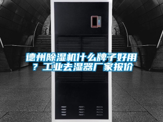 企業(yè)新聞德州除濕機(jī)什么牌子好用？工業(yè)去濕器廠家報(bào)價(jià)