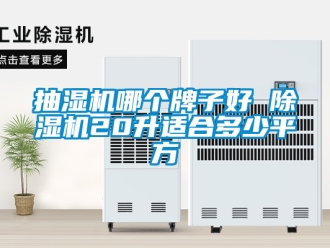 企業新聞抽濕機哪個牌子好 除濕機20升適合多少平方