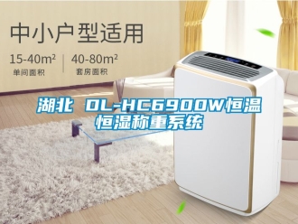 知識(shí)百科湖北 DL-HC6900W恒溫恒濕稱重系統(tǒng)
