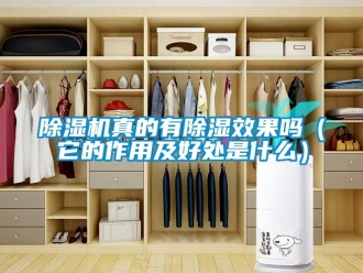 行業(yè)新聞除濕機(jī)真的有除濕效果嗎（它的作用及好處是什么）