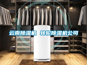 常見問題云南除濕機 轉(zhuǎn)輪除濕機公司