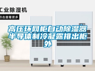 行業(yè)新聞高壓環(huán)網(wǎng)柜自動(dòng)除濕器半導(dǎo)體制冷凝露排出柜外
