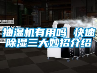 企業新聞抽濕機有用嗎 快速除濕三大妙招介紹