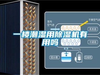 行業(yè)新聞一樓潮濕用除濕機(jī)有用嗎