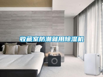 知識百科收藏室防潮就用除濕機