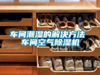 企業新聞車間潮濕的解決方法 車間空氣除濕機