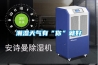 潮濕天氣有“你”就好