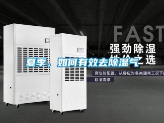 常見問題夏季，如何有效去除濕氣