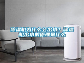 企業新聞除濕機為什么會出水？除濕機出水的原理是什么