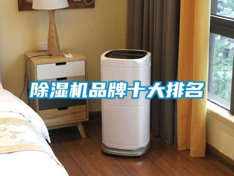 常見問題除濕機品牌十大排名