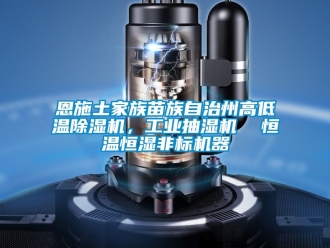 常見問題恩施土家族苗族自治州高低溫除濕機，工業抽濕機  恒溫恒濕非標機器
