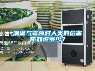 企業新聞潮濕與霉菌對人類的危害你知道多少？