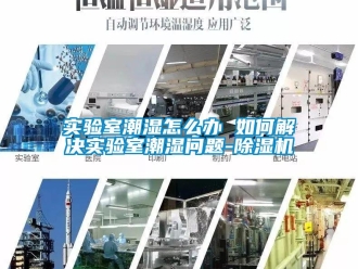 行業新聞實驗室潮濕怎么辦 如何解決實驗室潮濕問題-除濕機
